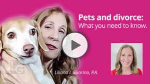 pets and divorce