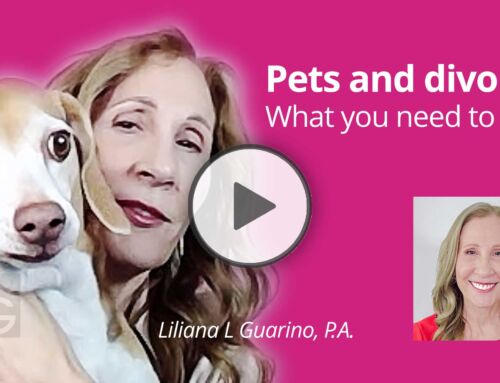 Pets and divorce